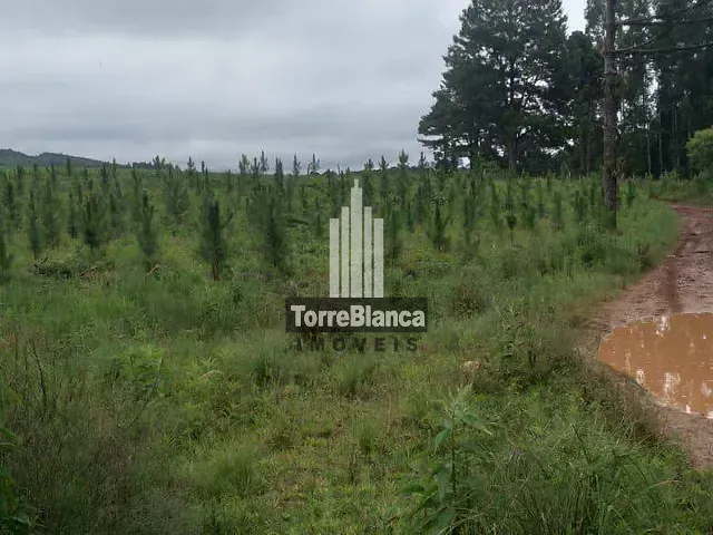 Fazenda à venda, no bairro Socavão em Castro