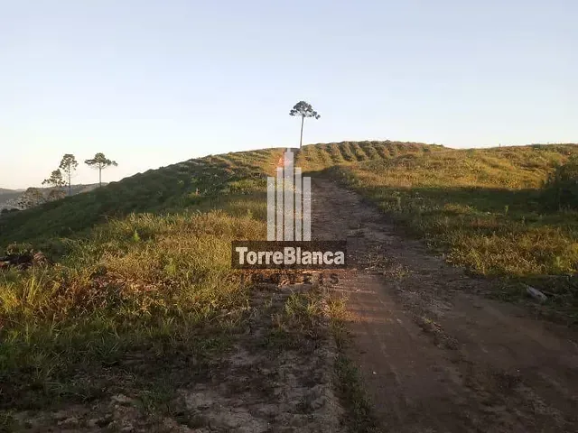 Fazenda à venda, no bairro Socavão em Castro