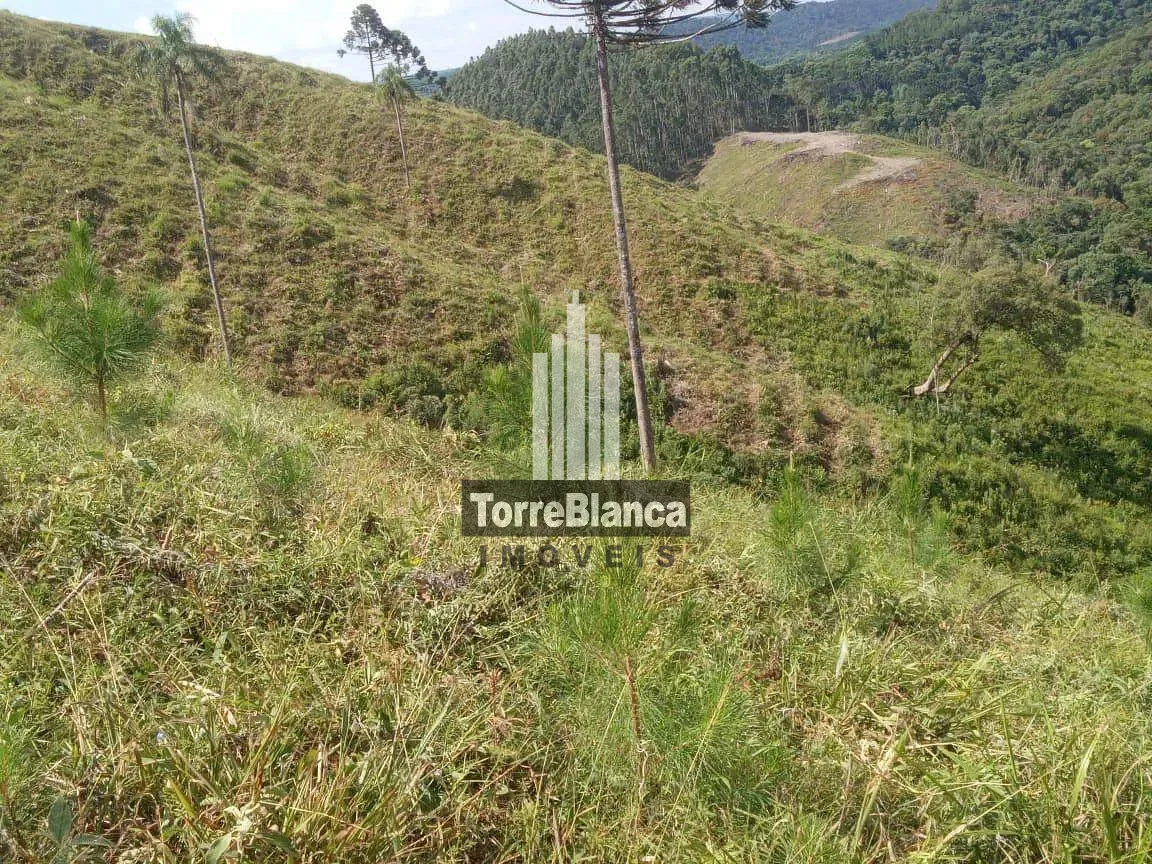 Fazenda, 10 m² - Foto 6