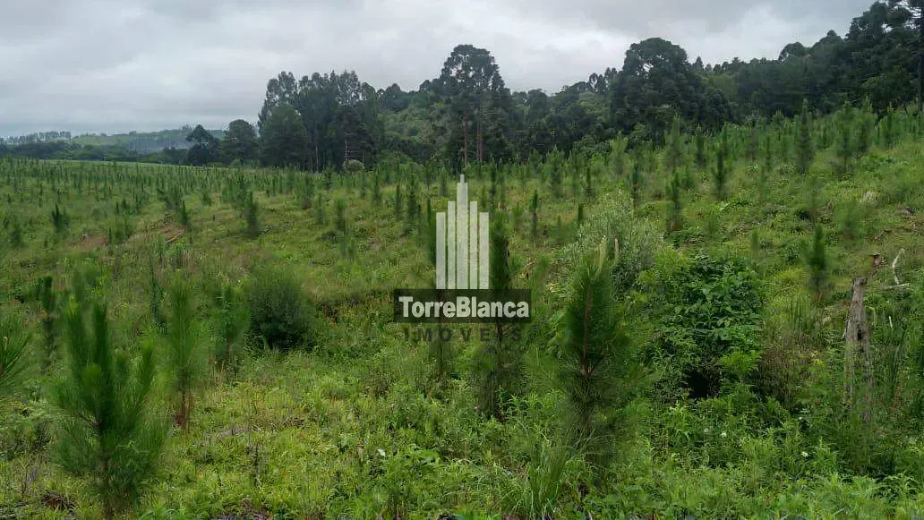 Fazenda, 10 m² - Foto 2