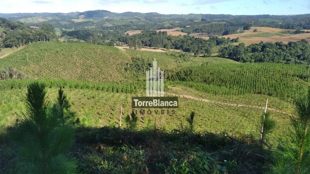 Fazenda, 10 m² - Foto 3