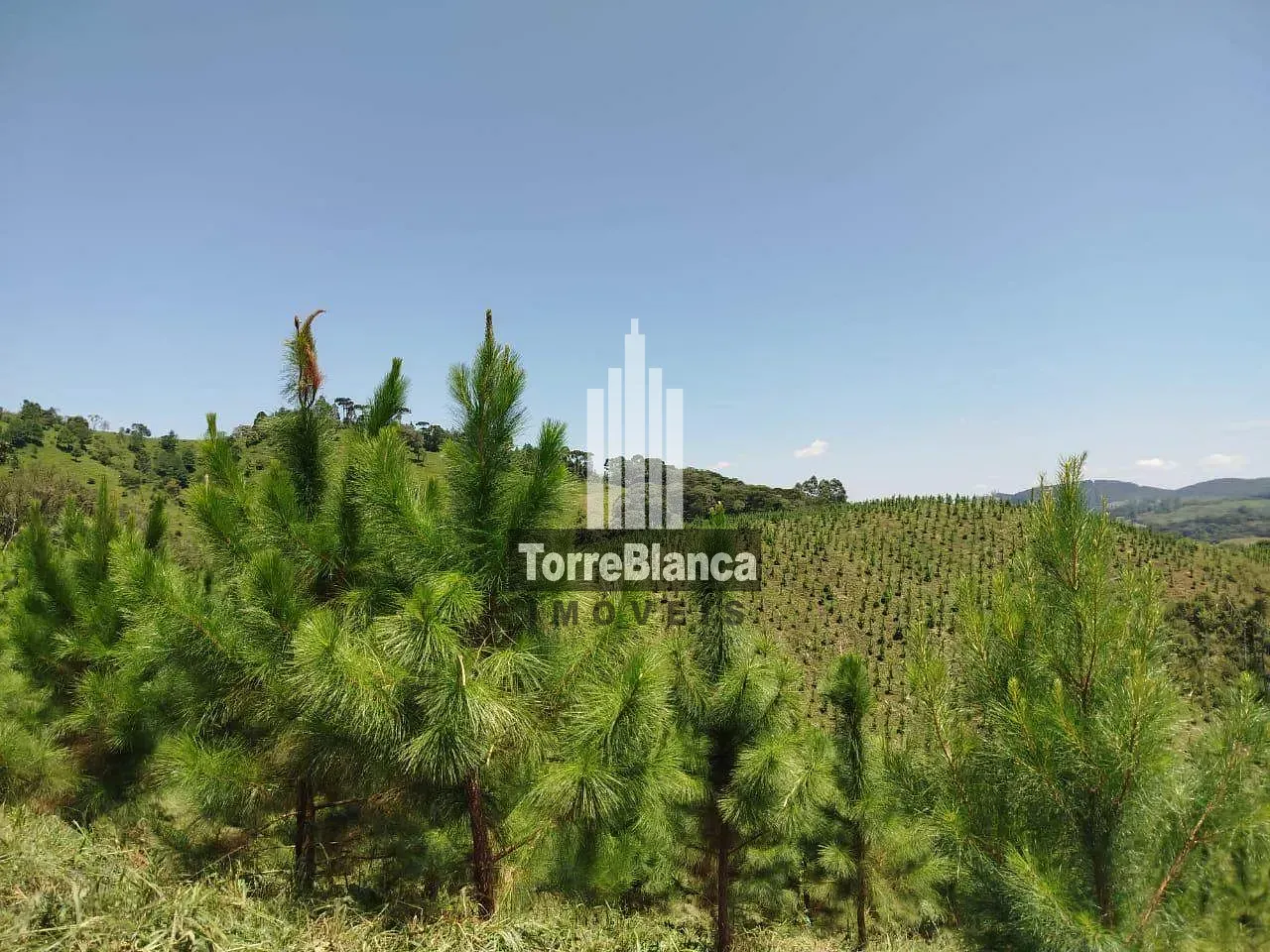 Fazenda, 10 m² - Foto 4