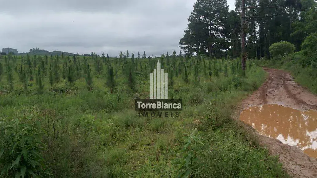 Fazenda, 10 m² - Foto 5