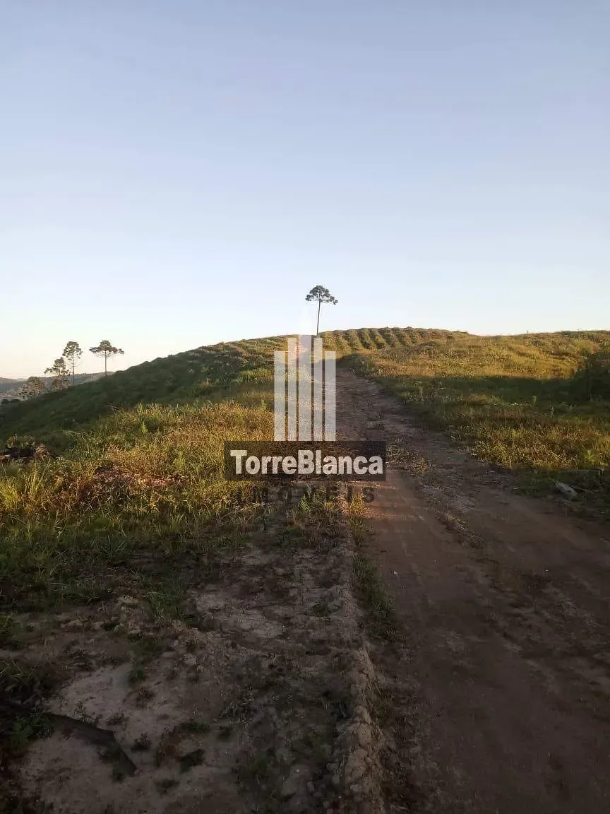 Fazenda, 10 m² - Foto 1