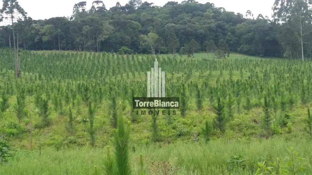 Fazenda, 10 m² - Foto 7