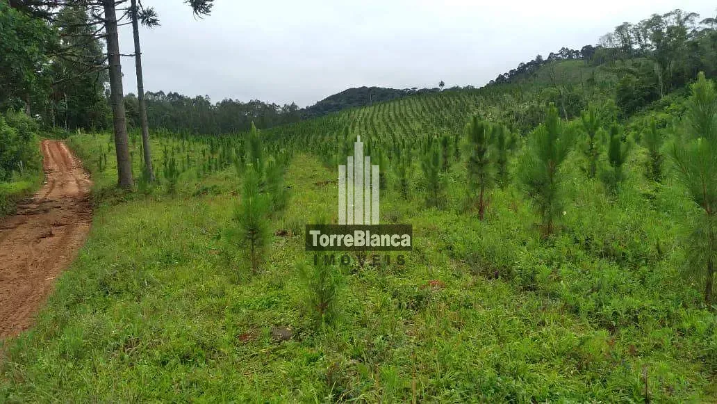 Fazenda, 10 m² - Foto 9