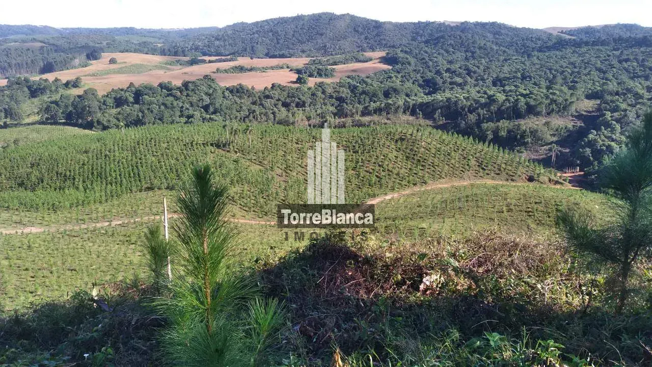 Fazenda, 10 m² - Foto 10
