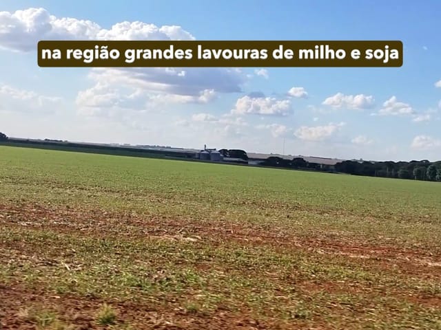 Fazenda 1 quarto e 1 banheiro, à venda, no bairro Zona Rural em Mineiros