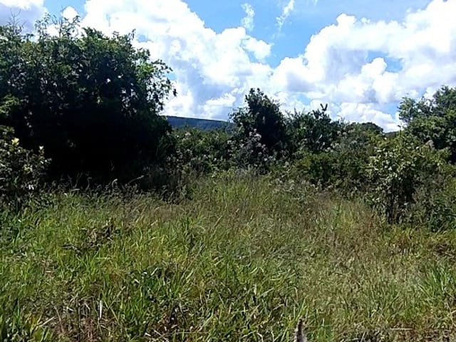 Fazenda 1 quarto e 1 banheiro, à venda, no bairro Zona Rural em Mineiros
