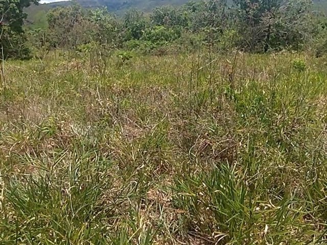 Fazenda 1 quarto e 1 banheiro, à venda, no bairro Zona Rural em Mineiros