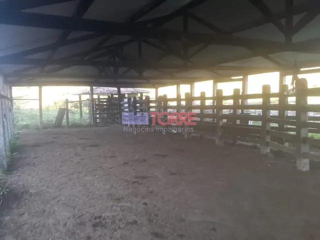 Fazenda com 226m² 1 quarto e 1 banheiro, à venda, no bairro Zona Rural em Dário Meira