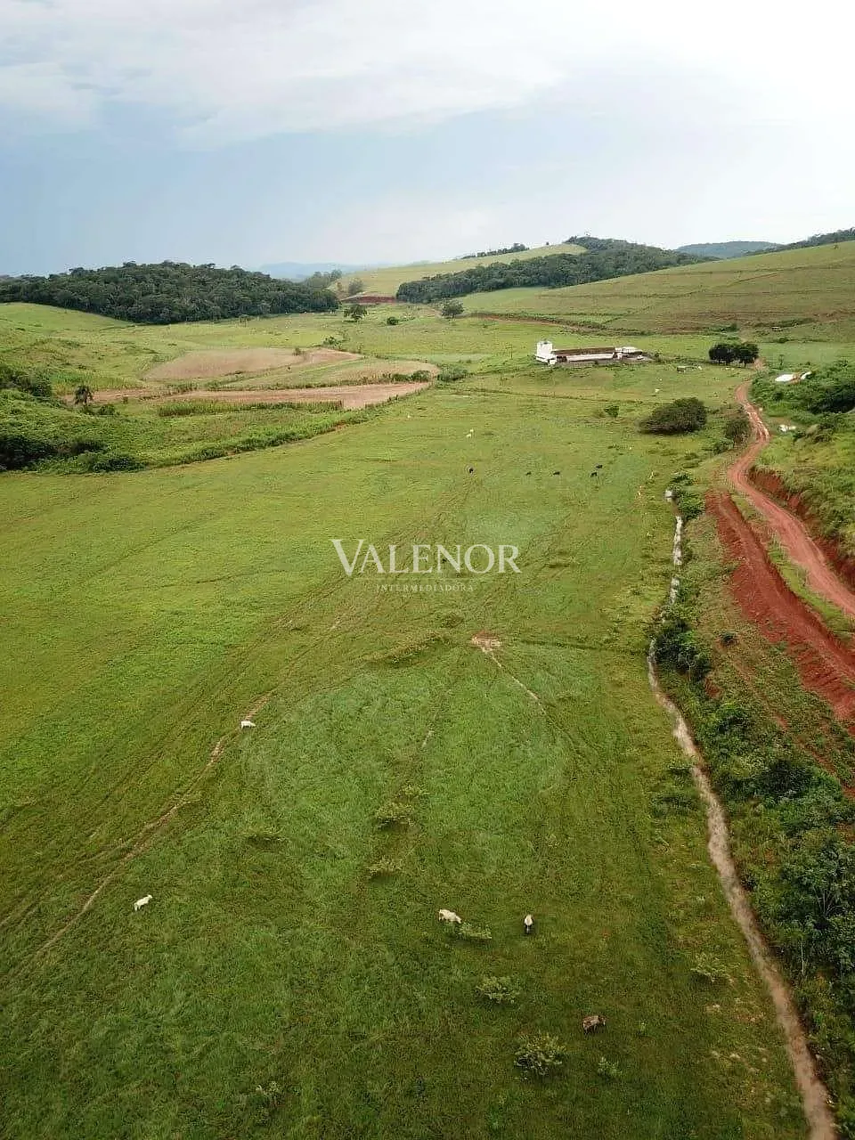 Fazenda, 1507 hectares - Foto 6