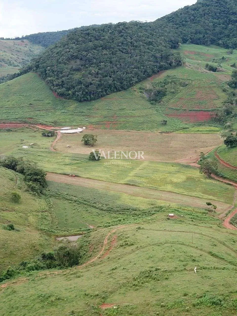 Fazenda, 1507 hectares - Foto 7