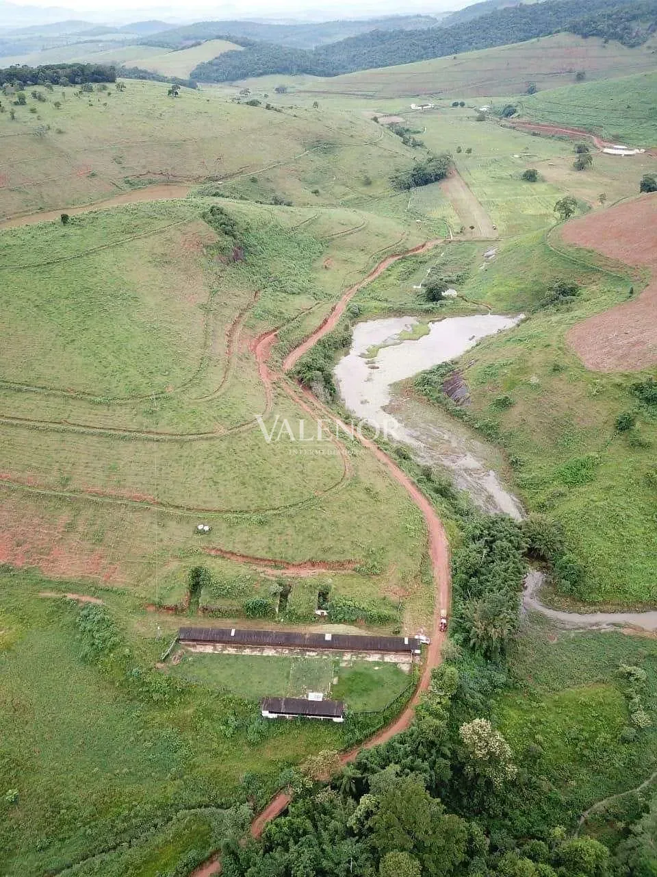 Fazenda, 1507 hectares - Foto 8
