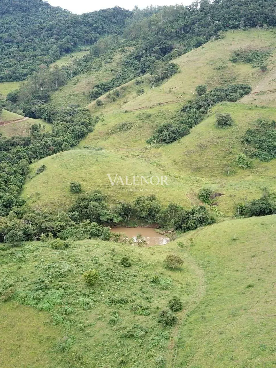 Fazenda, 1507 hectares - Foto 9