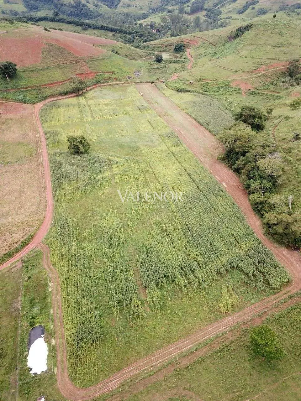 Fazenda, 1507 hectares - Foto 10