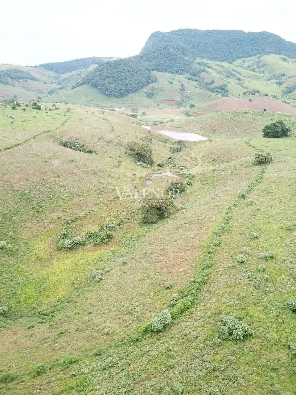 Fazenda, 1507 hectares - Foto 11