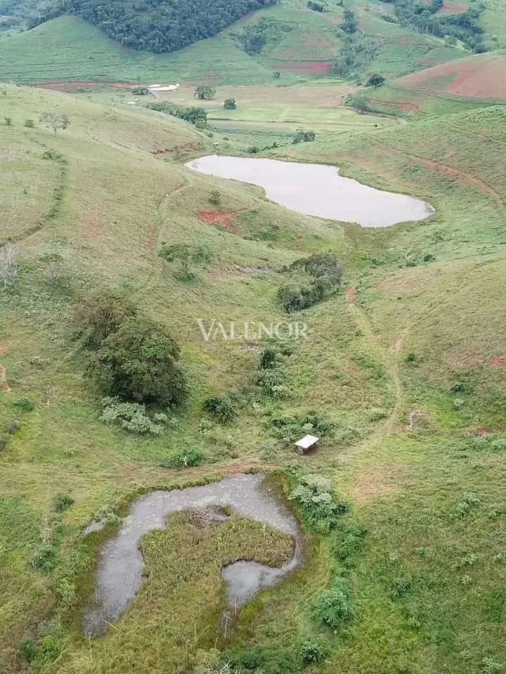 Fazenda, 1507 hectares - Foto 12
