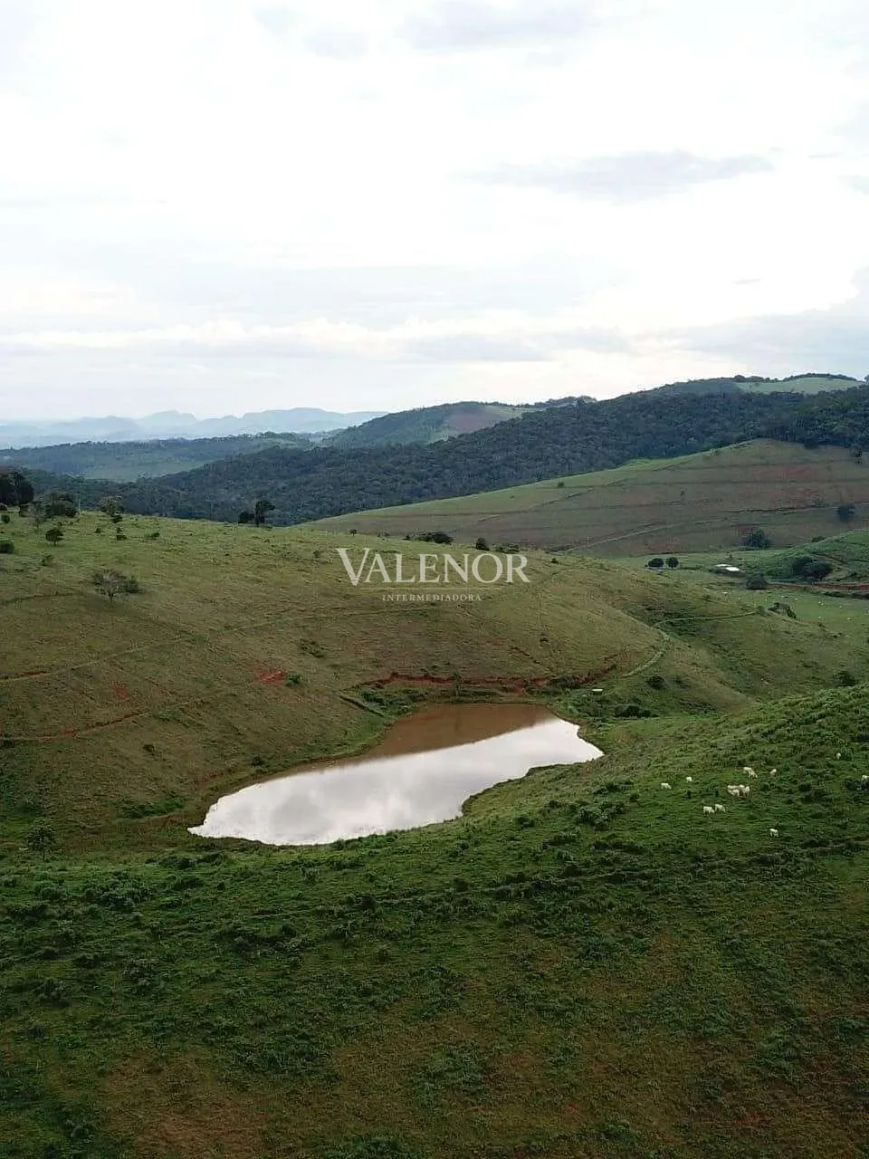 Fazenda, 1507 hectares - Foto 13