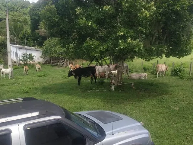 Fazenda com 450000m², à venda, no bairro rural em Coaraci