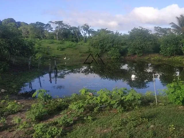 Fazenda com 450000m², à venda, no bairro rural em Coaraci