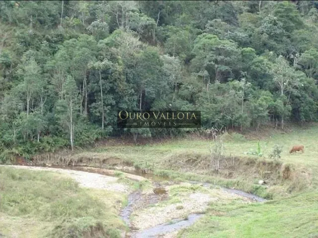 Fazenda com 1355200m², à venda, no bairro Marins em Piquete