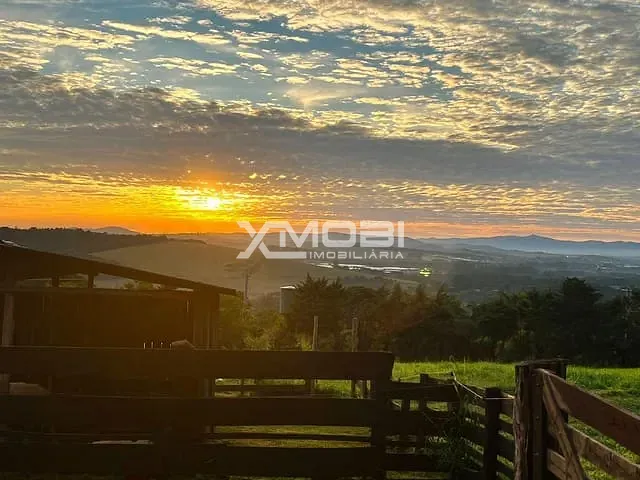 Fazenda com 20000m² 5 quartos e 4 banheiros, à venda, no bairro RIO ABAIXO em Jarinu