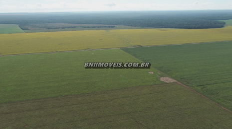 Fazenda à venda, 93809m² - Foto 1