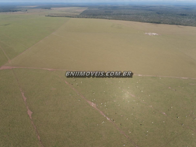 Fazenda à venda, 93809m² - Foto 5