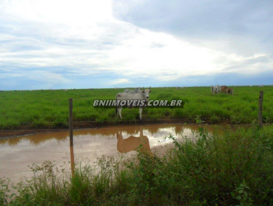 Fazenda à venda, 93809m² - Foto 11