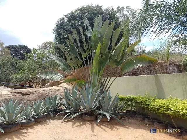 Fazenda com 337019m² 3 quartos e 6 banheiros, à venda, no bairro Morro do Gamba em São Fidélis