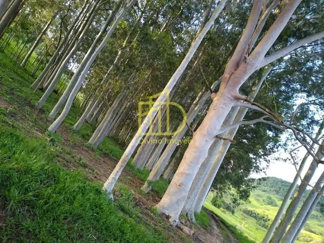 Fazenda com 3436400m², à venda, no bairro Área Rural em Angatuba