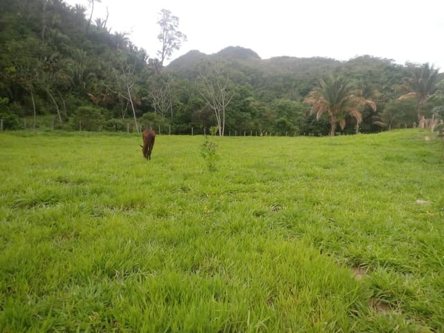 Fazenda com 14700000m² 3 quartos e 2 banheiros, à venda, no bairro FVRFR em Niquelândia