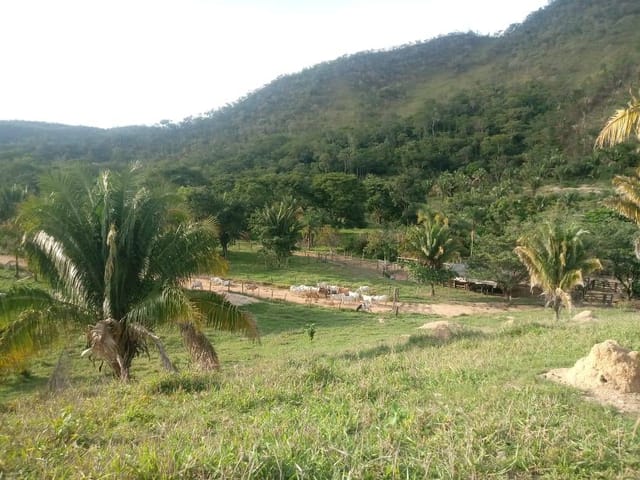 Fazenda com 14700000m² 3 quartos e 2 banheiros, à venda, no bairro FVRFR em Niquelândia