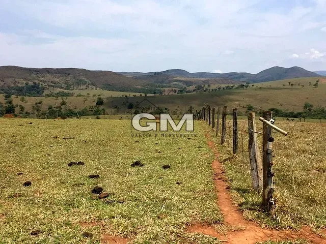 Fazenda com 58080000m² 6 quartos e 6 banheiros, à venda, no bairro Área Rural em Piumhi