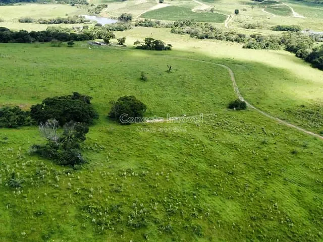 Fazenda com 798600m², à venda, no bairro Área Rural em Santo Antônio de Posse