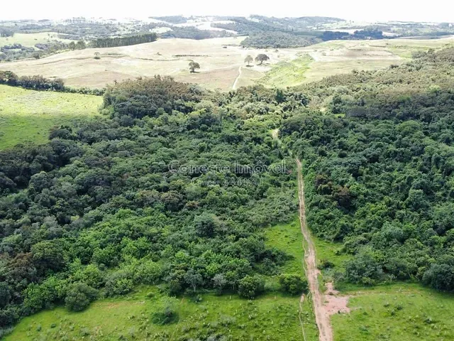 Fazenda com 798600m², à venda, no bairro Área Rural em Santo Antônio de Posse