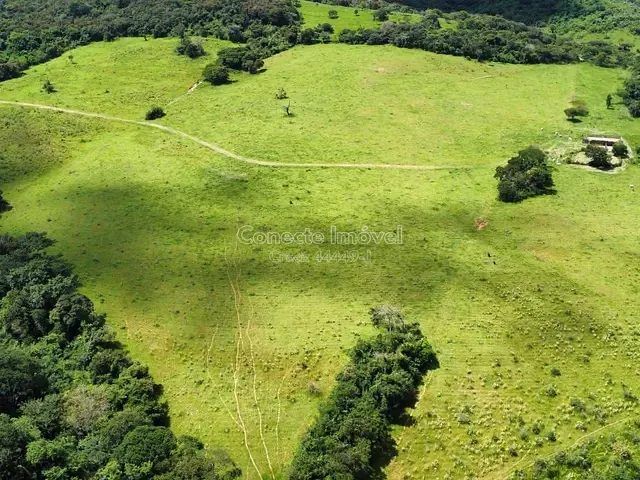 Fazenda com 798600m², à venda, no bairro Área Rural em Santo Antônio de Posse