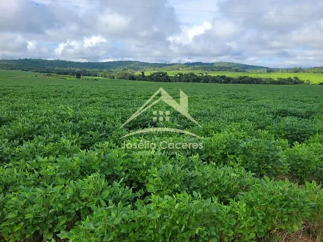 Fazenda com 16800000m² 4 quartos e 2 banheiros, à venda, no bairro 90 KM de Guarantã do Norte em Guarantã do Norte