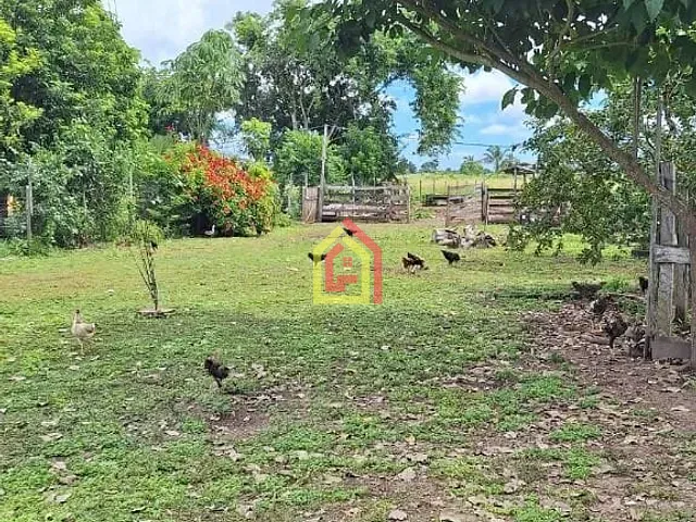 Fazenda com 871200m², à venda, no bairro Marabá Pioneira em Marabá
