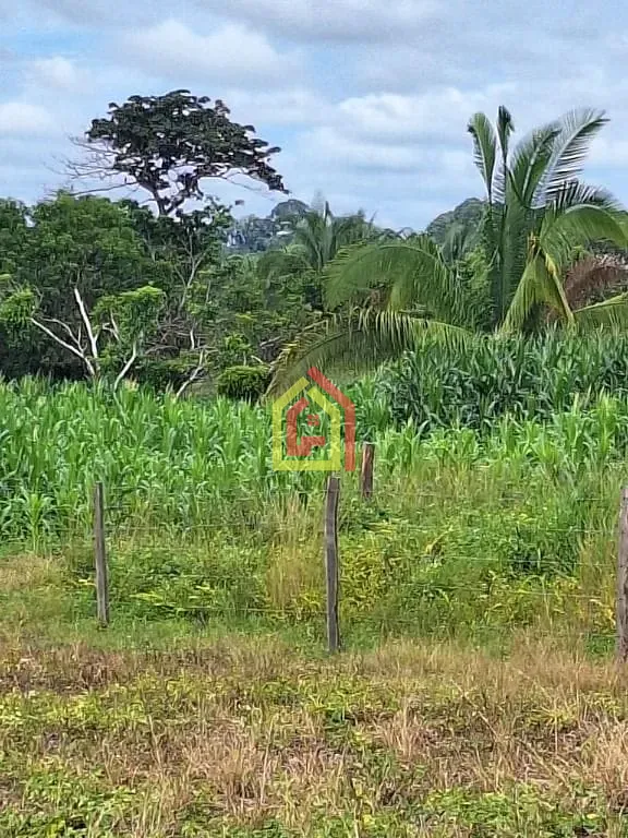 Rural à venda com 871200m² de terreno no Marabá Pioneira, Marabá (PA) — foto 21 de 25
