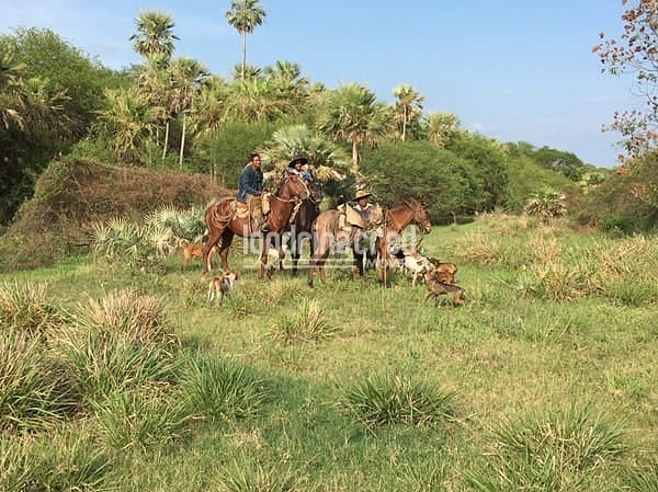 Fazenda, 10 m² - Foto 10