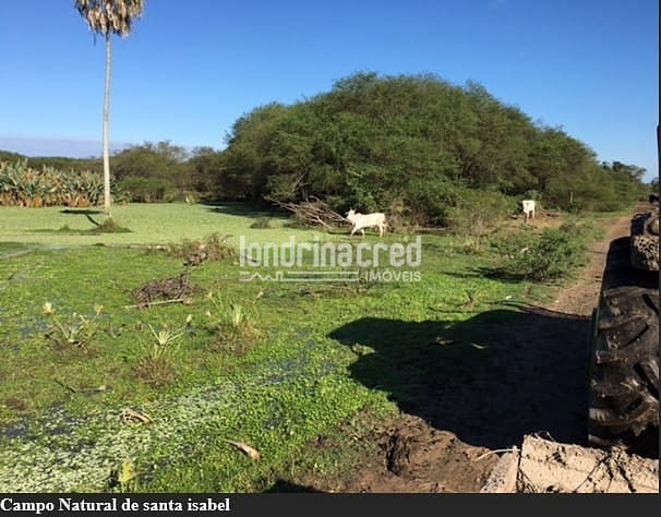 Fazenda, 10 m² - Foto 11