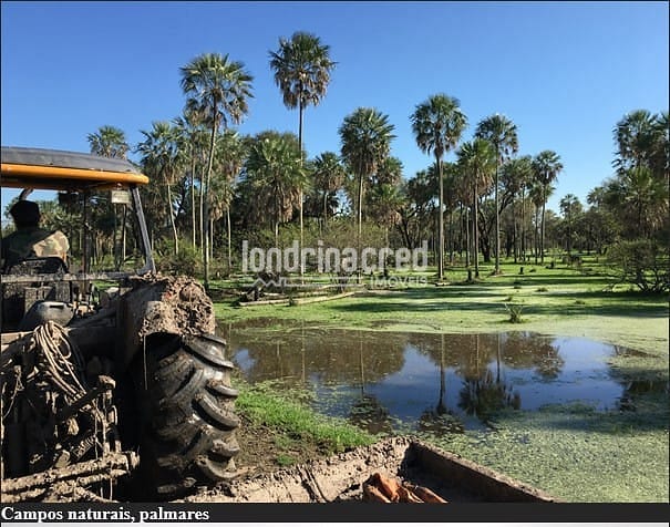 Fazenda, 10 m² - Foto 15