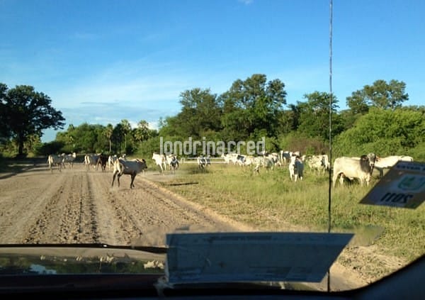 Fazenda, 10 m² - Foto 17