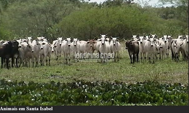 Fazenda, 10 m² - Foto 21