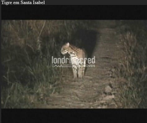 Fazenda, 10 m² - Foto 25