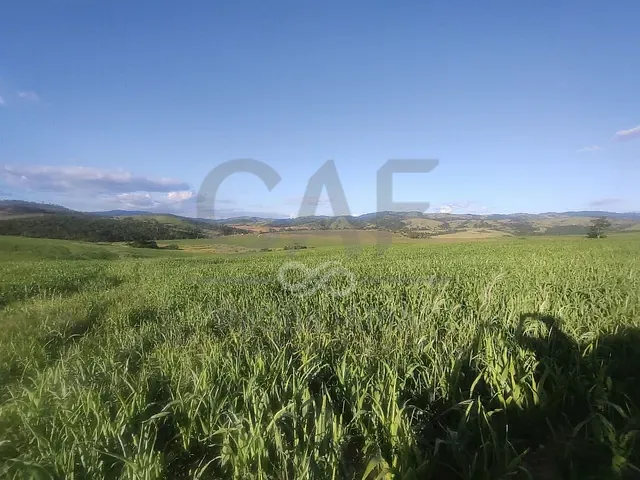 Fazenda com 1403600m², à venda, no bairro Area Rural em Itapira