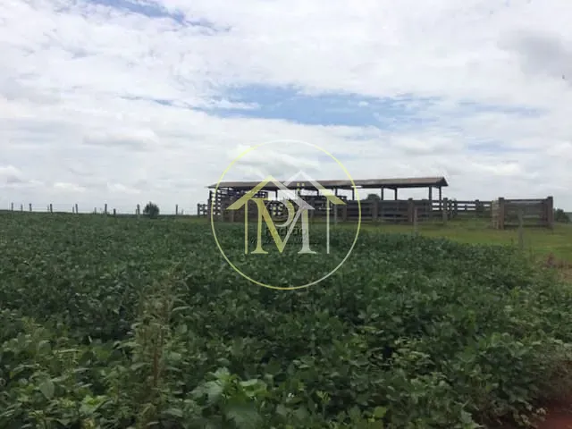 Fazenda com 943800m² 4 quartos e 4 banheiros, à venda, no bairro Centro em Tatuí