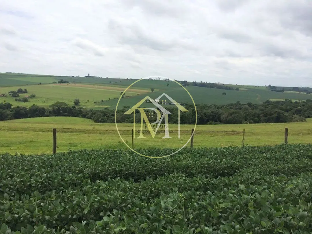 Fazenda, 94 hectares - Foto 8